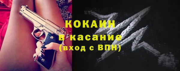 шишки Лиски