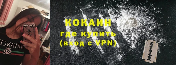 шишки Лиски