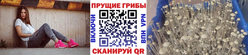 Галлюциногенные грибы мухоморы  Купить  Реж 